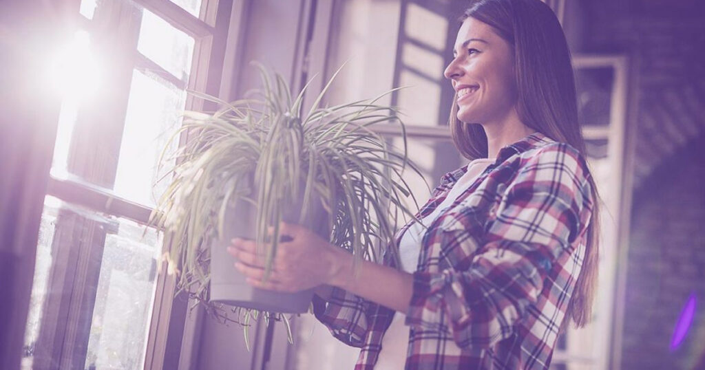 The Most Common Indoor Air Pollutants and How to Counter Them